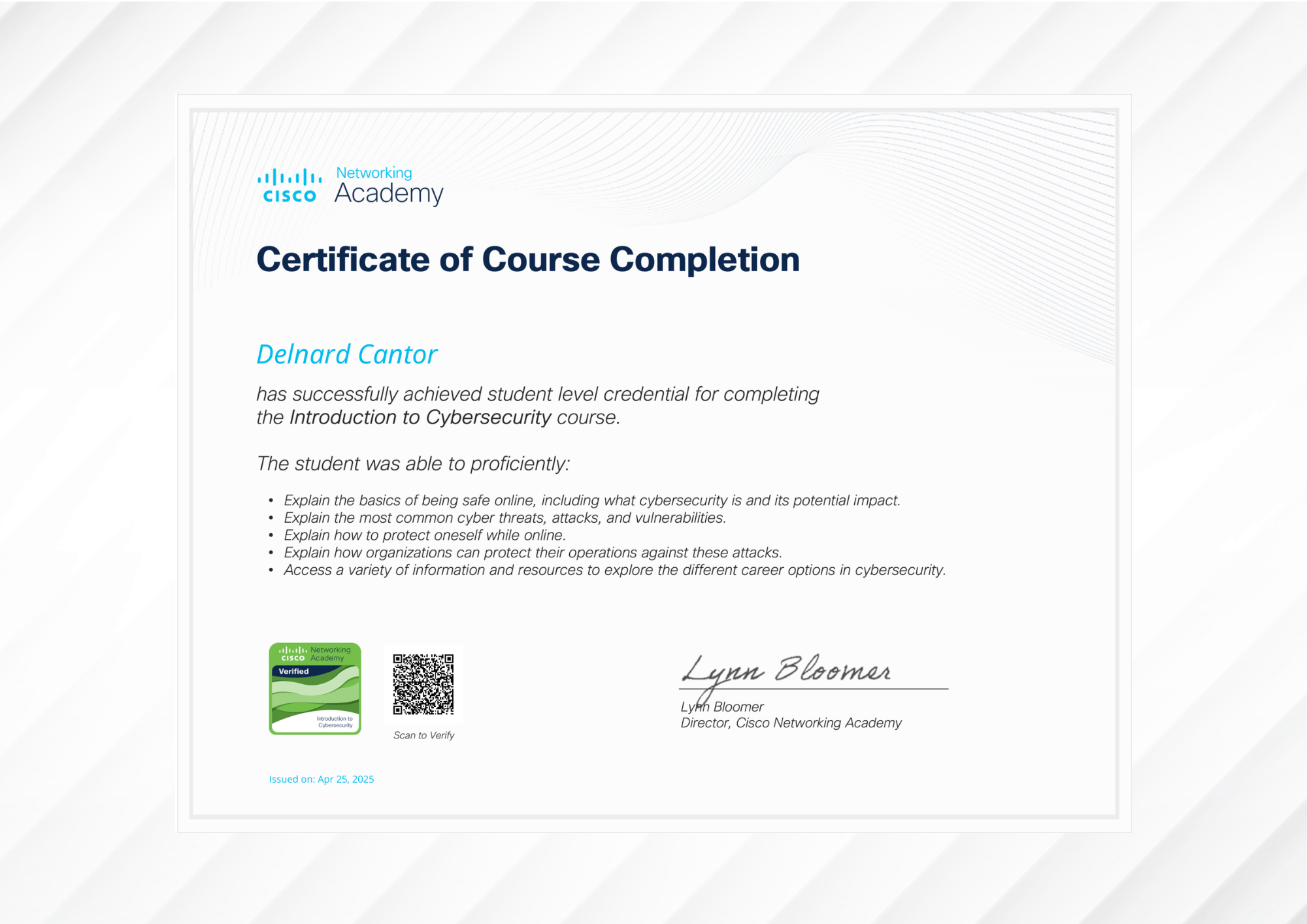 Introduction to Cybersecurity